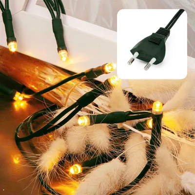 Produktbild von 20-tlg. LED-Lichterkette klassisch ww, Kabel grün