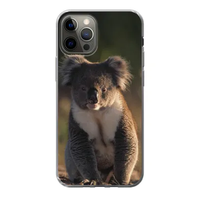 Produktbild von MuchoWow® Handyhülle Schutzhülle Hülle für iPhone 12 Pro Koala - Sonne - Tier - Kinder - Jungen - Mädchen Silikon Softcase Handy Hülle - Abdeckung