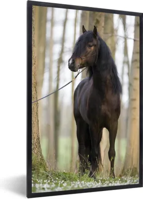 Produktbild von MuchoWow® Gerahmtes Poster Pferd - Braun - Wald 40x60 cm - Poster mit Schwarzem Bilderrahmen Wandposter Rahmen Foto Bilder - Papierdruck - Wandbilder