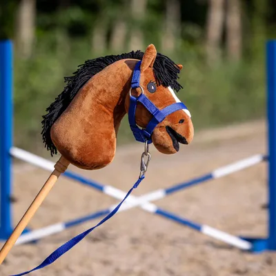 Immagine prodotto di Set completo per cavallo di gioco QHP, colore: blu