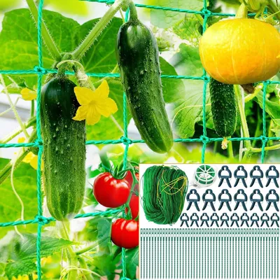 Obrázok produktu pre Pletivo pre popínavé rastliny 2x3 m, sieť na paradajky a uhorky, odolné a silné