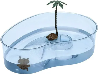 Produktbild von Ferplast Arricot Schildkröte 31X22X7,5Cm