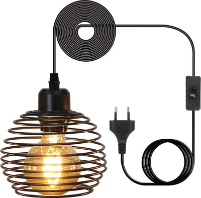 A vintage-style pendant light with a black wire cage and a visible Edison bulb, connected to a power cord with a European plug and an inline switch.
