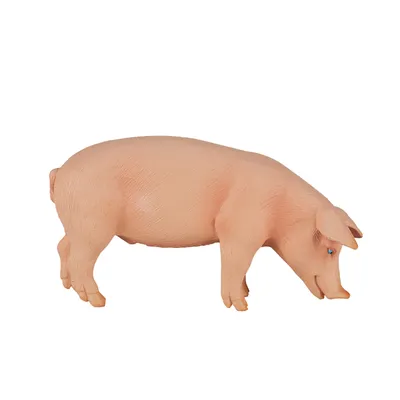 Produktbild von Mojo Fun Pig (Boar), 3 Jahr(e), FARMLAND, Pink, Polyvinylchlorid (PVC)