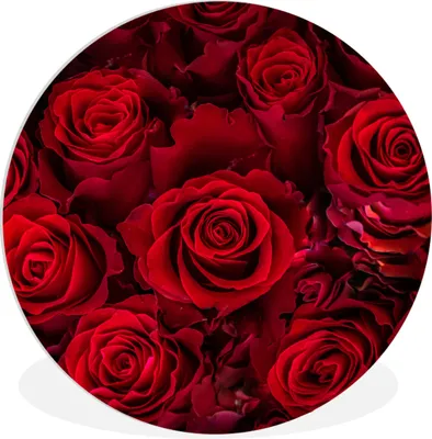 Produktbild von MuchoWow® Rundes Wandbild - Runde Bilder Blumen - Rosen - Rot Ø 90 cm Kreis Wanddekoration Kunststoff - Wandkreis - Wandschmuck - Wand-Kreis - Wohnzimmer - Bild - Runde - Wanddeko - Dibond - Kunstdrucke