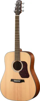 Produktbild von WALDEN D550E Natura Dreadnought