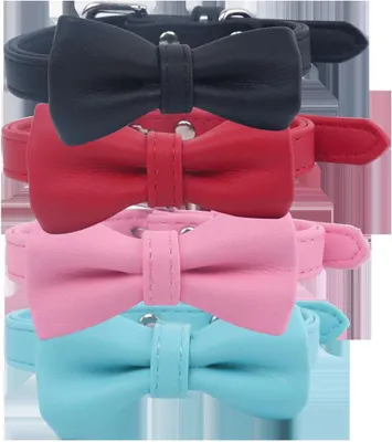 Produktbild von Hundehalsband Leder, verstellbar, Sicherheitsverschluss, für Spaziergang