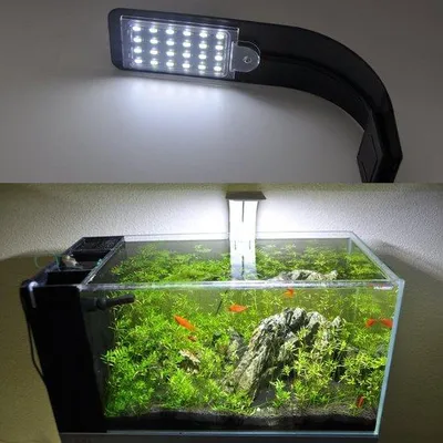 Zdjęcie produktu dla Zestaw oświetlenia akwariowego o mocy 10 W, pełne spektrum, z uchwytem, czarny, 220 V