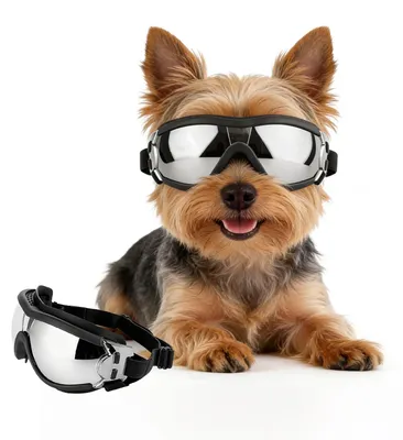 Produktbild von Sonnenbrille für kleine Hunde mit UV-Schutz