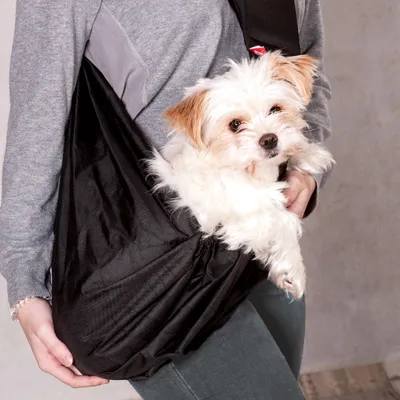 Produktbild von 4Lazylegs Haustiertragetasche Pocket Basic Polyester 15 kg Schwarz 1258