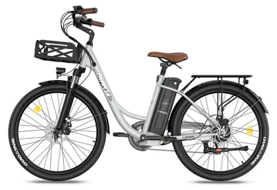 Produktbild von Elektrisches Fahrrad FAFREES F26 Lasting - Motor 250W Akku 36V25Ah 26x1.95 Zoll Reifen Mechanische Scheibenbremsen - Grau