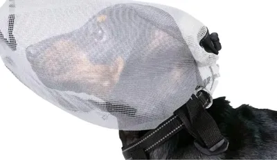 Produktbild von INF Tragbare Hunde-Moskitomaske – Atmungsaktiver Insektenschutz Kopfschutz 40 cm