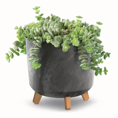 Obrázek produktu pro Květináč s nožičkami D 30 cm antracit Plastové květináče s vložkou Betonová optika Květináče Money Tree Kaktusy Gumovník