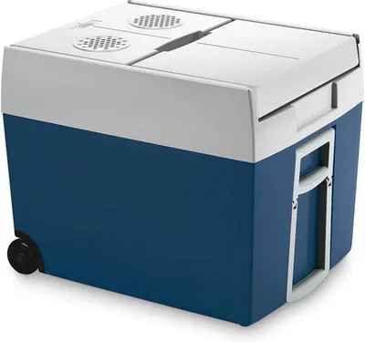 Produktbild von Mini Kühlschrank für Picknick - 48 Liter - 12 Volt Anschluss - 230 Volt - tragbar - 53,2 x 40 x 45,2 cm