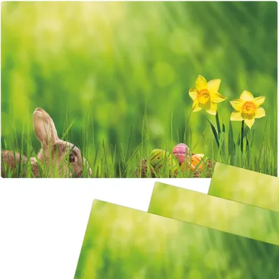 Immagine prodotto di Tovagliette lavabili set di 4 fiori di Pasqua narcisi