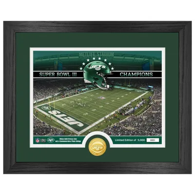 Produktbild von New York Jets NFL Stadion Golden Coin Bild 40x33cm