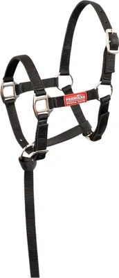 Immagine prodotto di Premiere Foal Briskwith Mini Lead Halfter Foal Foal