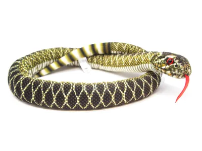 A stuffed toy snake coiled on a white background.