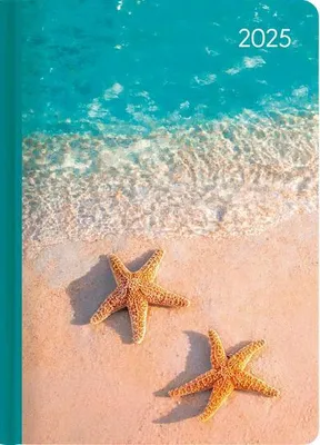 Produktbild von Ladytimer Beach 2025 - Taschenkalender A6 (10,7x15,2 cm)