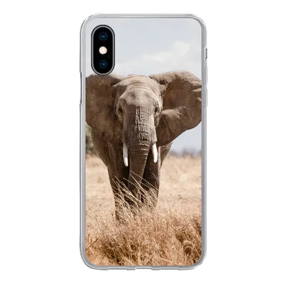 Produktbild von MuchoWow® Handyhülle Schutzhülle Hülle für iPhone X Elefant - Natur - Tiere - Porträt Silikon Softcase Handy Hülle - Handyhülle