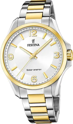 Obrázok produktu pre Pánske náramkové hodinky Festina z nehrdzavejúcej ocele strieborno-zlaté D2UF20657/1