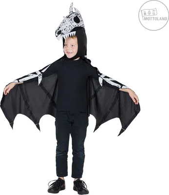 Produktbild von Kostüm Flying Dino Skeleton, Groesse:116/128