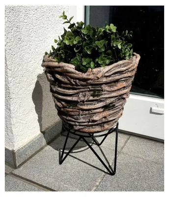 Produktbild von Pflanzschale mit Metallständer - Blumen, Töpfe, Pflanzen