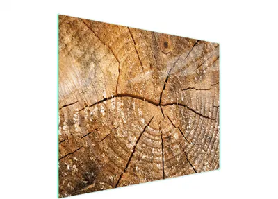 Produktbild von Glasschneidebrett 52x40 cm Holzoptik mit rutschfesten Füßen, hygienisch & messerschonend