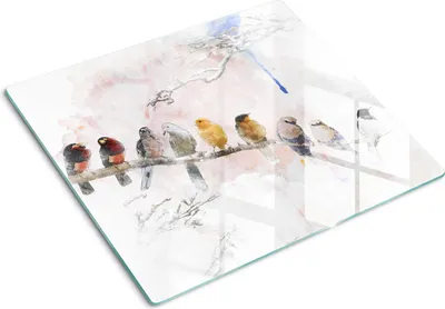 Obrázek produktu pro Kryt varné desky – Kryt na indukční desku – Ochranná skleněná deska – 60x52 cm – Skleněné ochranné desky na sporák –Tvrzené sklo –Ptáci na větvi