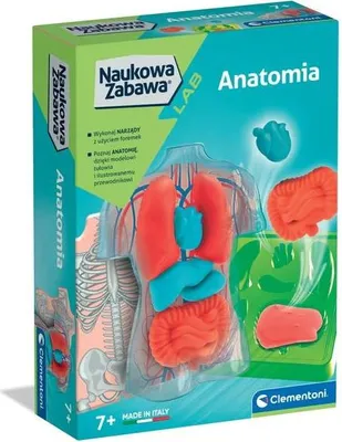 Zdjęcie produktu dla CLEMENTONI Naukowa zabawa - Anatomia 50252