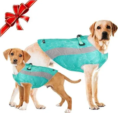 Produktbild von Famanu Hundejacke für alle Jahreszeiten mit verstellbarem Geschirr - S/M/L/XL