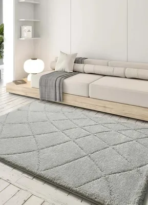 Produktbild von ATTICGO Hochflorteppich MOLIER Shaggy in Silber, 133x190 cm