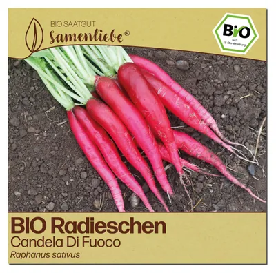 Produktbild von Samenliebe  Radieschen Samen | Candela Di Fuoco - scharf & lang - samenfestes  Saatgut