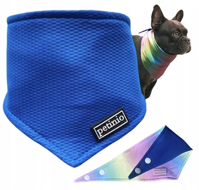 Produktbild von Petinio BECOOL Kühlendes Hundehalstuch L