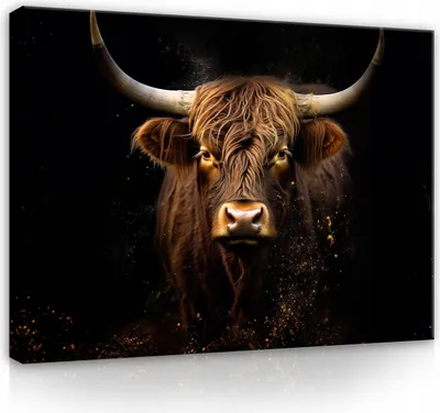 Obrázek produktu pro Plátno obraz skotský skot zvířata kráva černá 100x70 cm velký moderní obraz na plátně plátno obraz nástěnná fototapeta obývací pokoj ložnice