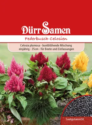 Produktbild von Dürr-Samen - Federbusch-Celosien Mischung einjährig 35 cm - Saatgut - 1811