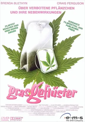 Produktbild von Grasgeflüster