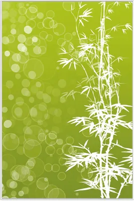 Produktbild von Wallario Wandbild Bambusmuster grün-weiß, Größe: 61 x 91,50 cm, Poster mit weißem Aluminiumrahmen