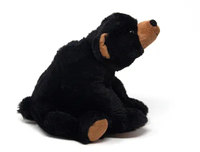 Image de Cornelissen - Doudou - Ours noir assis - 20 cm