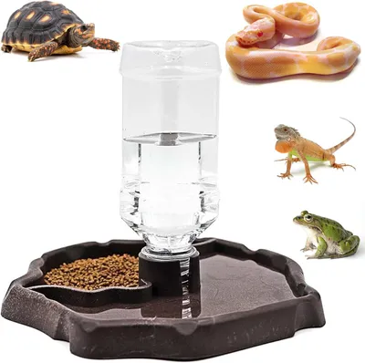 Produktbild von 2-in-1 Reptilien-Wasserspender, tragbar, für Schildkröten, Geckos, Kunststoffnapf