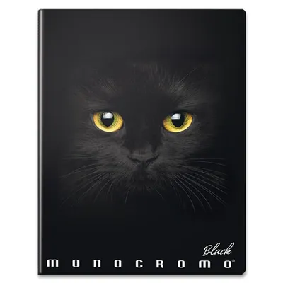 Zdjęcie produktu dla Zeszyt szkolny szyty A4 w linie Pigna Monocromo Black