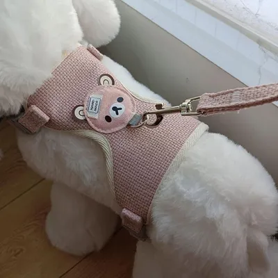 Zdjęcie produktu dla Regulowana smycz dla królika 120 cm - Zestaw szelek dla kota - Smycz dla królika karłowatego - Szelki dla kota - 1-3 kg.