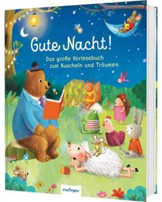 Produktbild von Gute Nacht!
