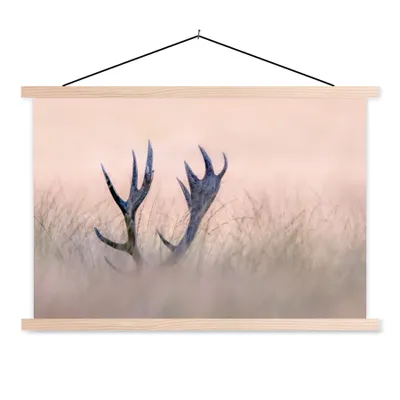 Produktbild von MuchoWow® Textilposter Geweih - Hirsch - Gras - Natur 60x40 cm mit holzfarbenen Rahmen - Bilder