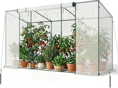 Imagen del producto de Invernadero para tomates, tipo túnel, de 300x100x170 cm