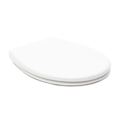 A white toilet seat shown from a diagonal angle on a white background.