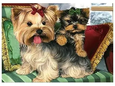 Obrázok produktu pre Diamantová mozaika 5D - Yorkies 40x30cm