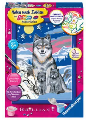 Obrázek produktu pro Ravensburger 00.027.784, 1 str., Obrazy v balení, Chlapec/děvče, Sada vybarvování podle čísel
