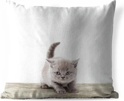Produktbild von MuchoWow® Outdoor Kissen - Kätzchen - Katze - Haustiere - Jungen - Kinder - Mädchen - 40x40 cm - Wetterfest - Lounge Kissen - Kopfkissen - Interieur - Polster mit Bild