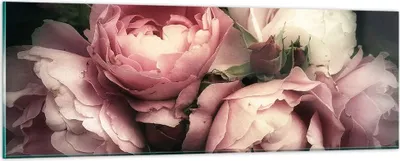 Produktbild von Bilder auf glas - Pfingstrose Blume - 90x30cm - Glasbilder - Wandbilder - Kunstdruck - zum Aufhängen bereit - Wanddekoration aus Glas - Glas Bilder - Wandbild auf Glas - Einteilig - GAB90x30-3930